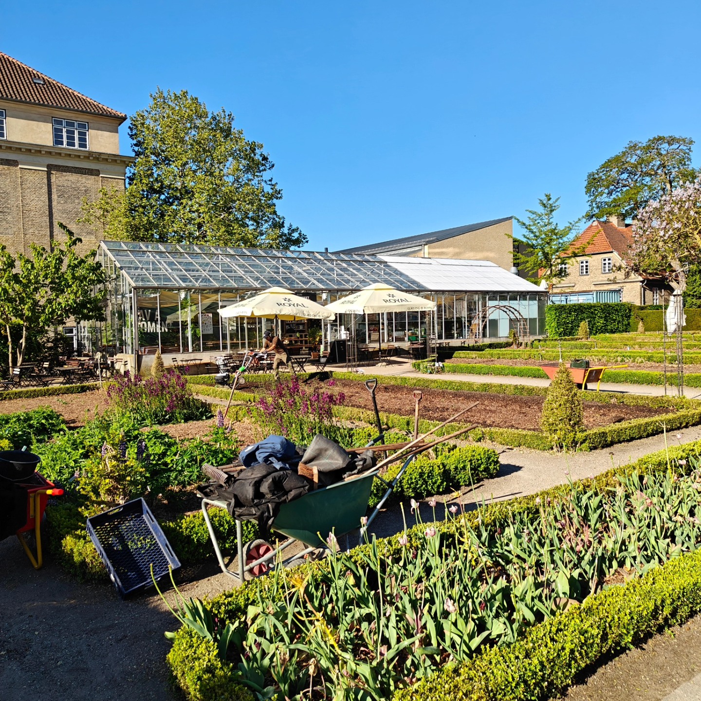 Fra kontorlandskaber til grønne oaser: Vi driver caféer, som fylder ...